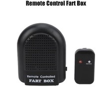 Electronic Remote Controlled